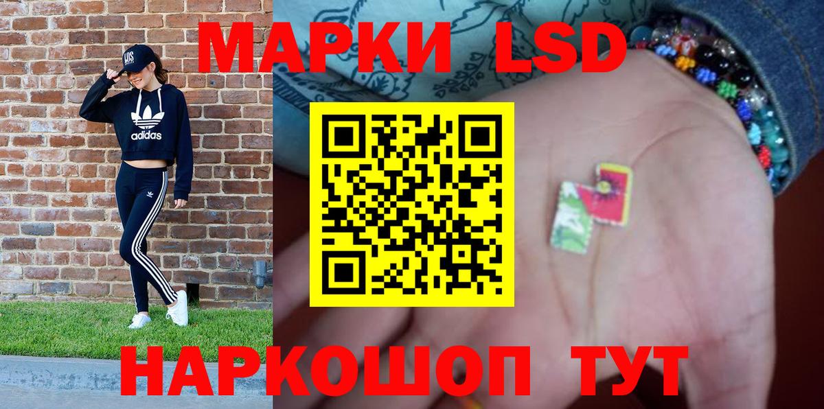 магазин продажи наркотиков  Наркотические марки 1,8мг  Наркотические марки 1,8мг  Вход с VPN  Сальск 
