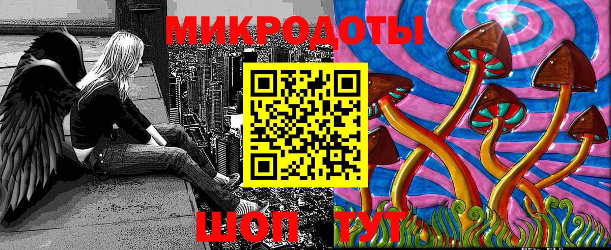 Галлюциногенные грибы Cubensis Сальск