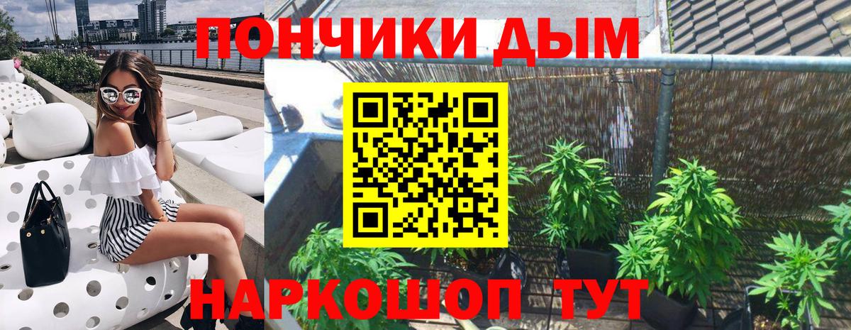 Бошки Шишки конопля  Шишки марихуана индика  Сальск  Марихуана White Widow  Конопля планчик  Вход с VPN 